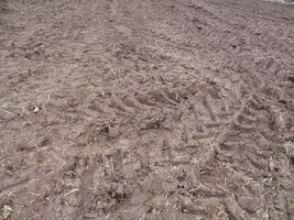 herzberg_2017-044.jpg