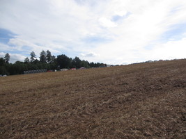 herzberg_2017-109.jpg