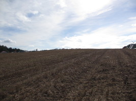 herzberg_2017-111.jpg