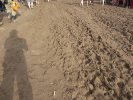 herzberg_2017-134.jpg