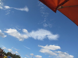 herzberg_2017-138.jpg